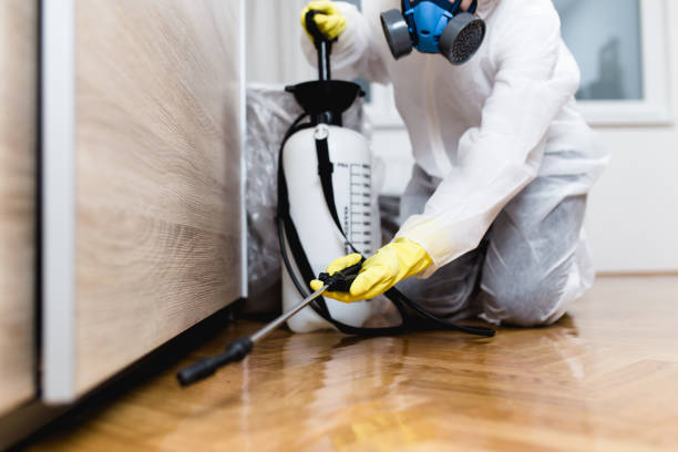 Best Emergency Pest Control  in Otisville, NY