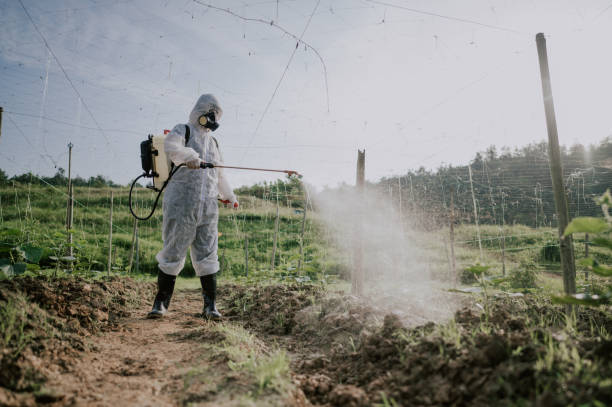 Best Termite Control Services  in Otisville, NY