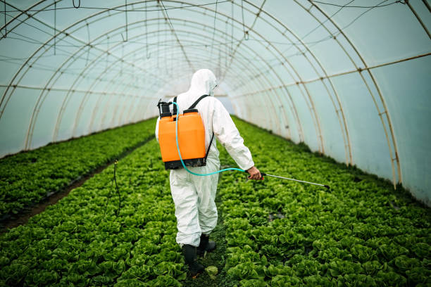 Best Pest Inspection Near Me  in Otisville, NY