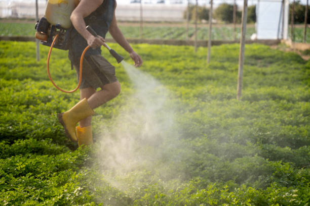 Best Affordable Pest Control Services  in Otisville, NY
