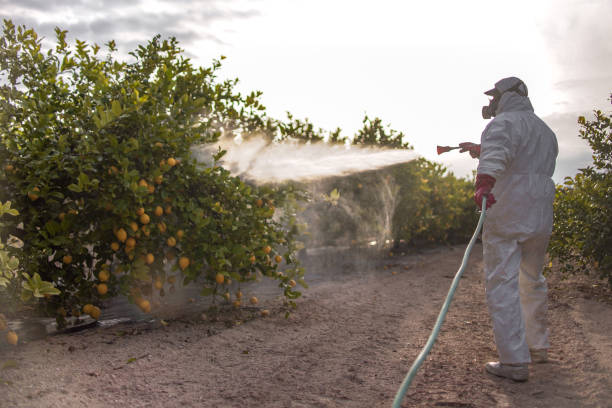 Best Affordable Pest Control Services  in Otisville, NY
