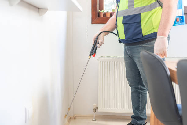 Best Local Pest Control Services  in Otisville, NY
