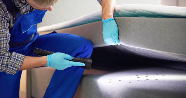 Best Pest Prevention Services  in Otisville, NY