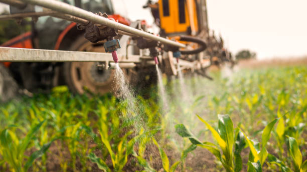 Best Wildlife Control Services  in Otisville, NY