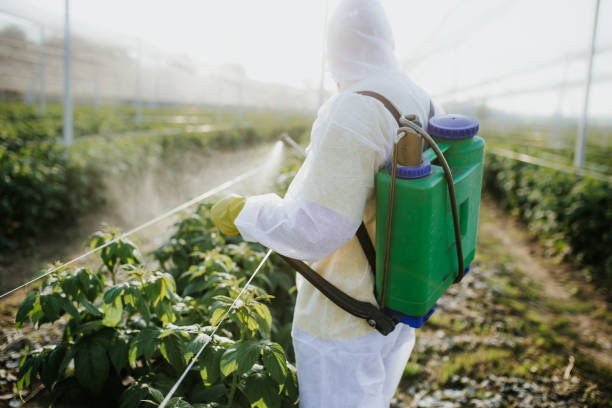 Best Pest Prevention Services  in Otisville, NY
